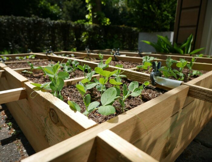 a wooden box filled with lots of plants