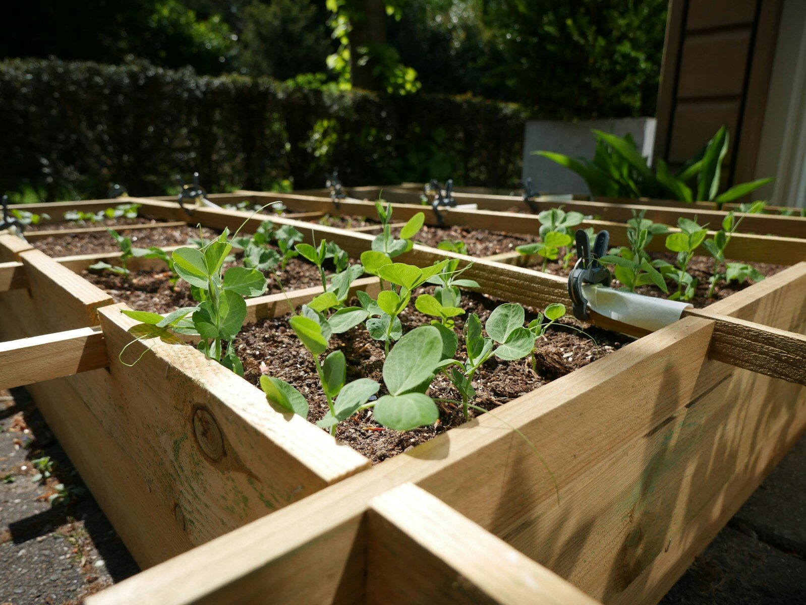 Hochbeet anlegen: So wird dein Garten zum Paradies